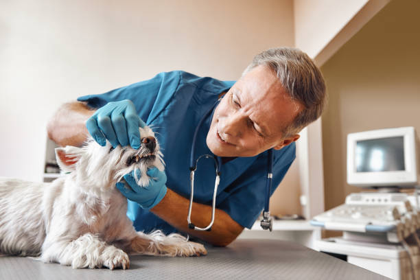 Best Weekend Emergency Dentist in Irving, TX
