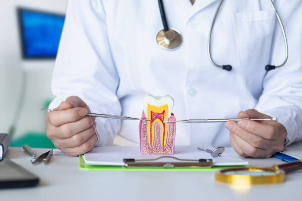 Best Emergency Dentist for Knocked-Out Tooth in Irving, TX